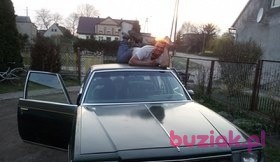 andrios1, Mężczyzna, 44, Bydgoszcz, Polska, Zdjęcie: 7