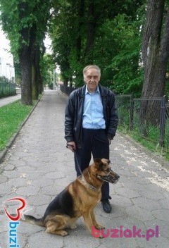 bogdan, Male, 70, Wałbrzych, Polska, Photo: 1