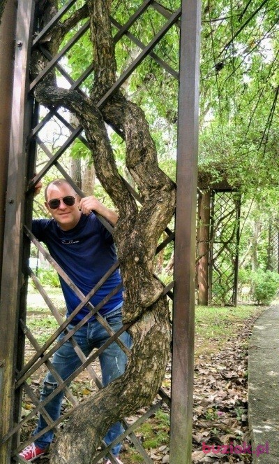 Jarek, Male, 50, Oadby, Wielka Brytania, Photo: 2