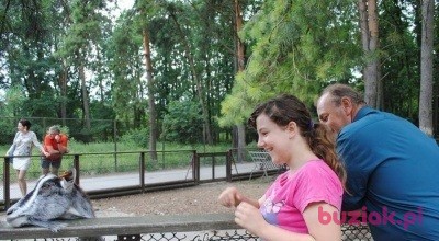 Andrzej, Mężczyzna, 60, Bydgoszcz, Polska, Zdjęcie: 2