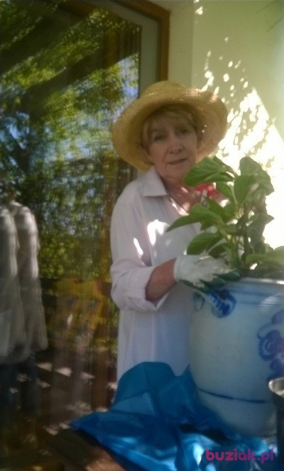Beata, Kobieta, 62, Kościerzyna, Polska, Zdjęcie: 2