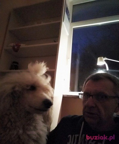 Tomasz, Male, 60, Niemcy, Photo: 2