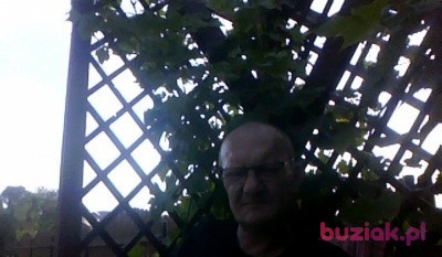 Robert, Mężczyzna, 58, Kudowa Zdrój, Polska, Zdjęcie: 1