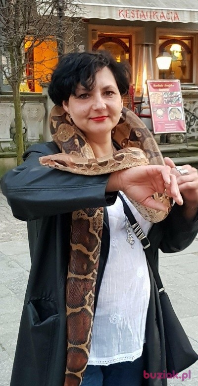 wiolka, Female, 49, Poznań, Polska, Photo: 1