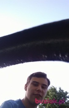 Daniel Szamocki, Male, 23, Chełmno, Polska: 1