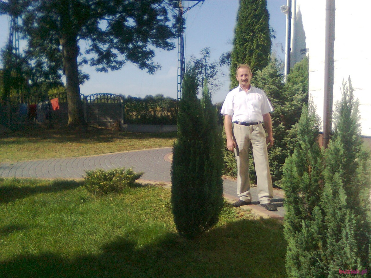 Zbigniew, Mężczyzna, 66, Milanówek, Polska, Zdjęcie: 4