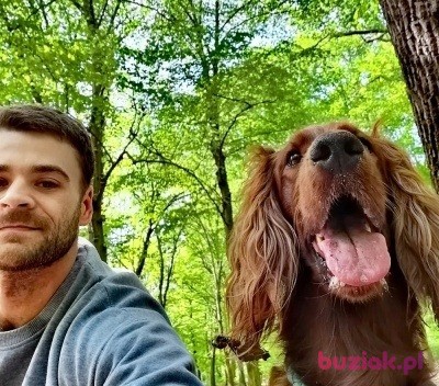 Konrad , Mężczyzna, 37, Berlin, Niemcy, Zdjęcie: 1