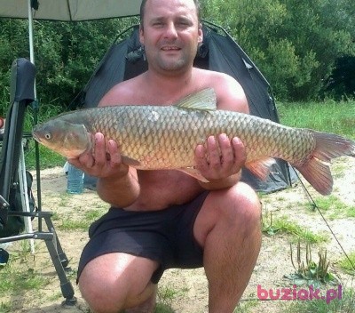 Grzegorz, Male, 50, Bytom, Polska: 1