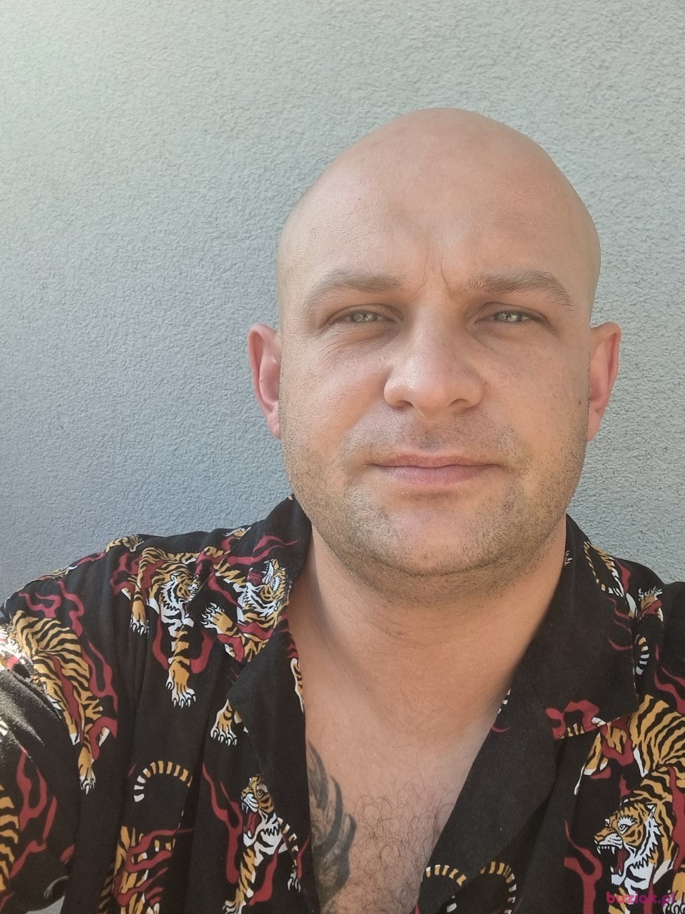 Rafal, Male, 36, Rotterdam South Holland Province, Holandia, Photo: 1