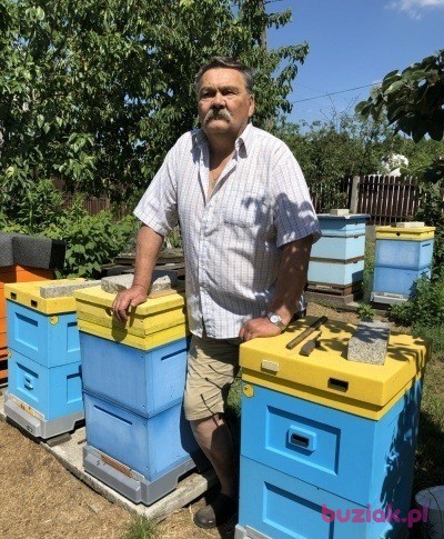 Witek, Mężczyzna, 71, Tuszyn, Polska, Zdjęcie: 3