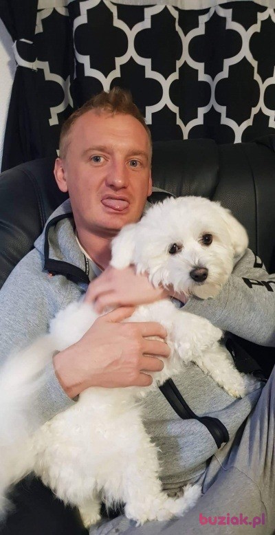 Lukasz, Mężczyzna, 38, Katowice, Polska, Zdjęcie: 3