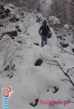 andrzej, Kobieta, 39, Wrocław, Polska, Zdjęcie: 4