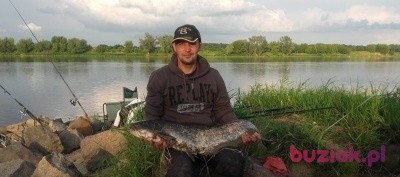 Robert, Mężczyzna, 51, Toruń, Polska, Zdjęcie: 1