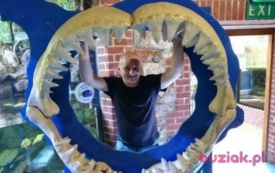 sebastian, Mężczyzna, 44, Wielka Brytania, Zdjęcie: 1