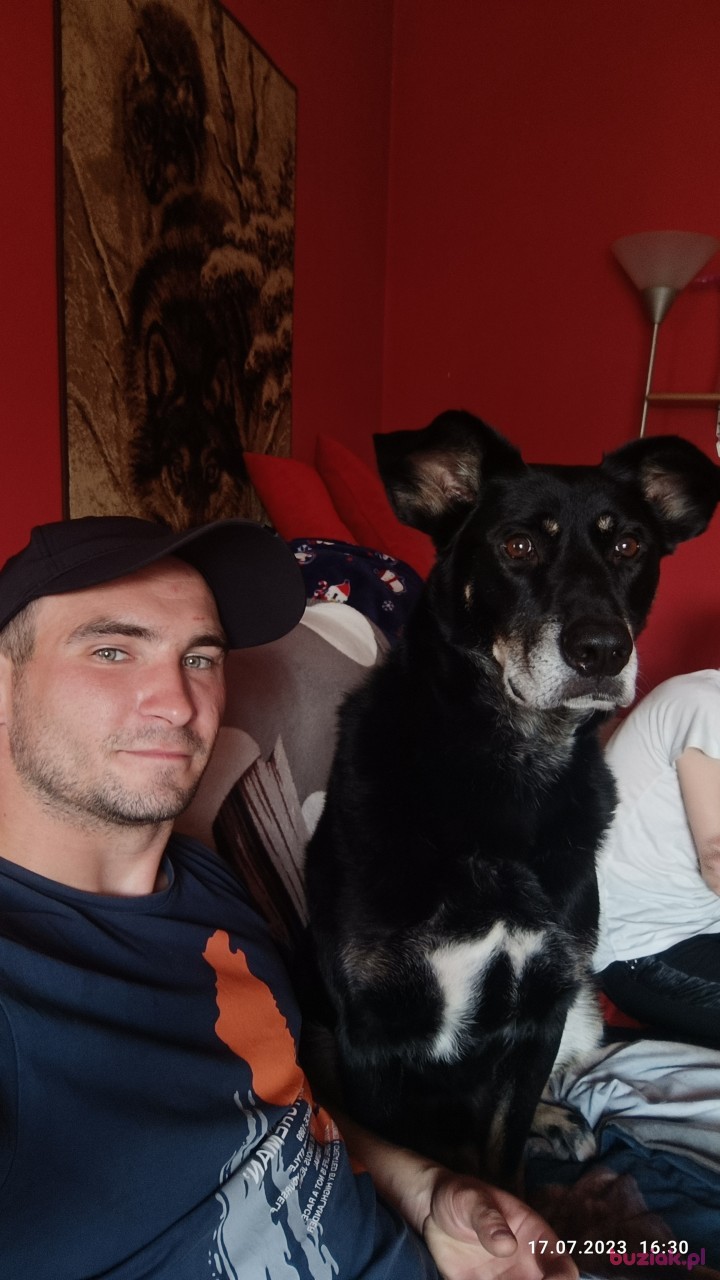 Marcin, Mężczyzna, 29, Wałbrzych, Polska: 1