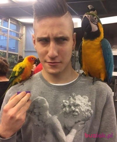 Turekogurek, Male, 24, Złocieniec, Polska: 1