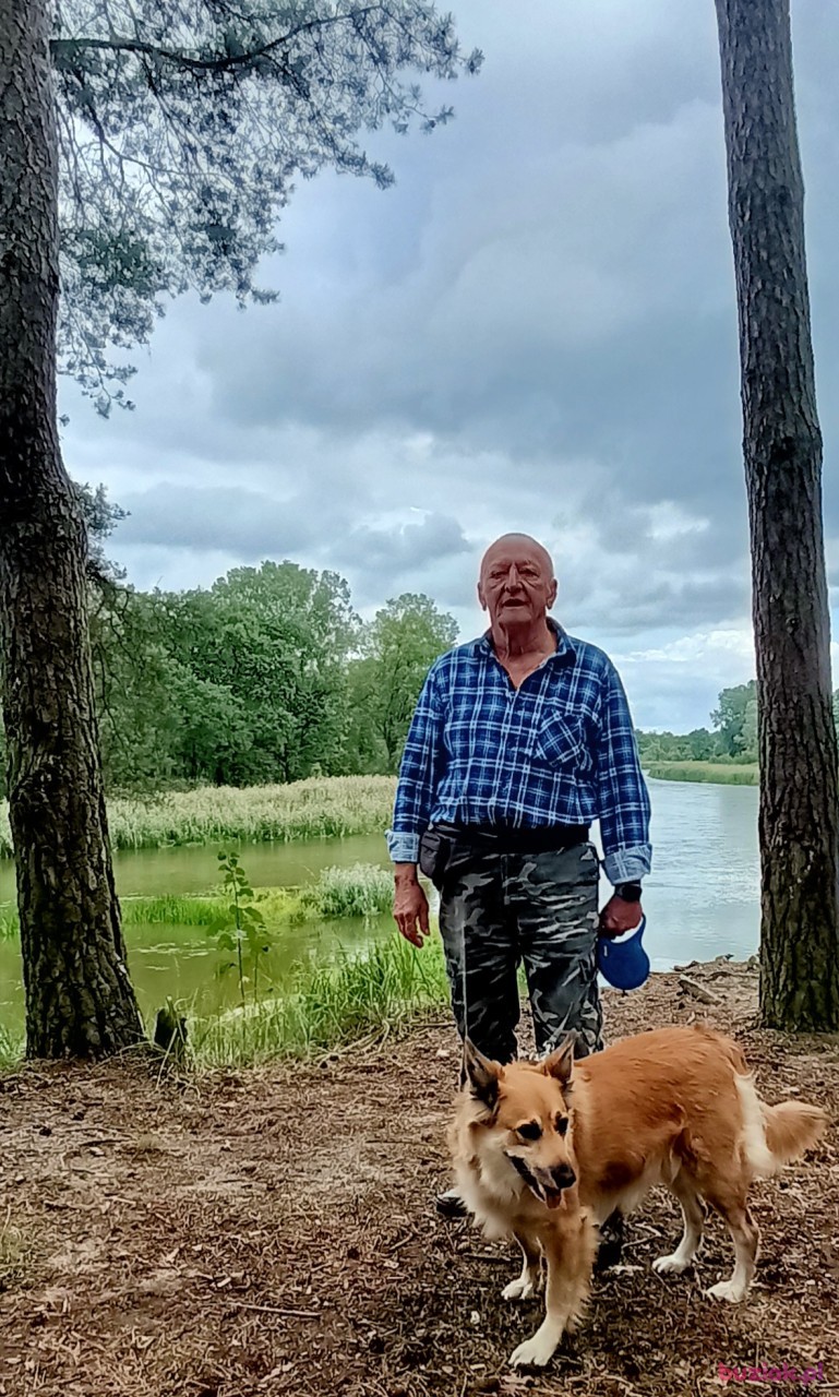 Zdzisław, Male, 71, Poznań, Polska, Photo: 3