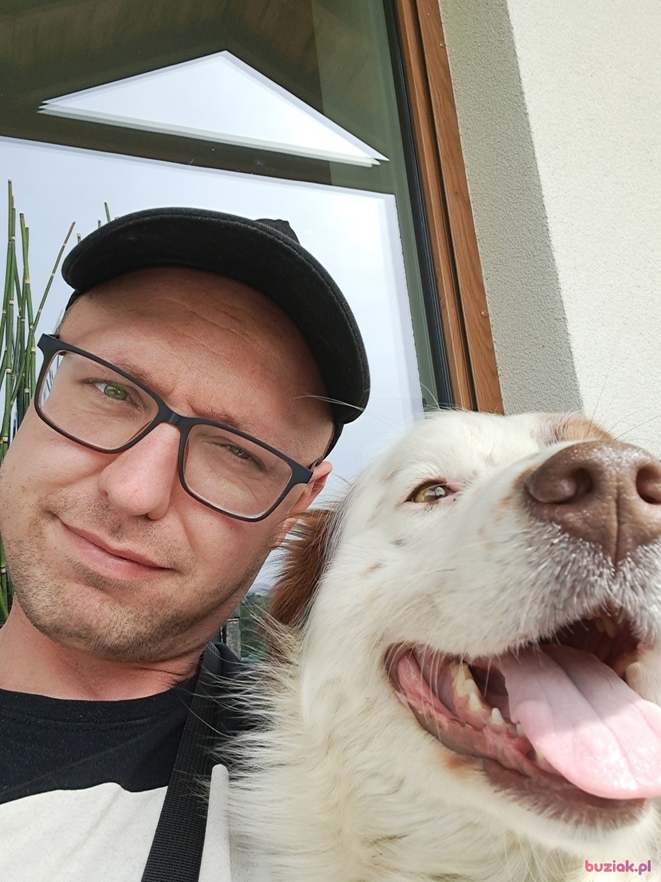 Jakub, Male, 32, Zaanstad, Holandia: 1
