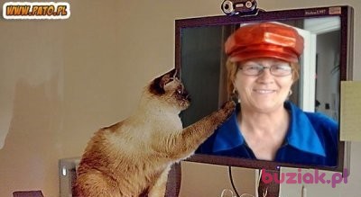 Wanda, Kobieta, 72, Warszawa, Polska, Zdjęcie: 4