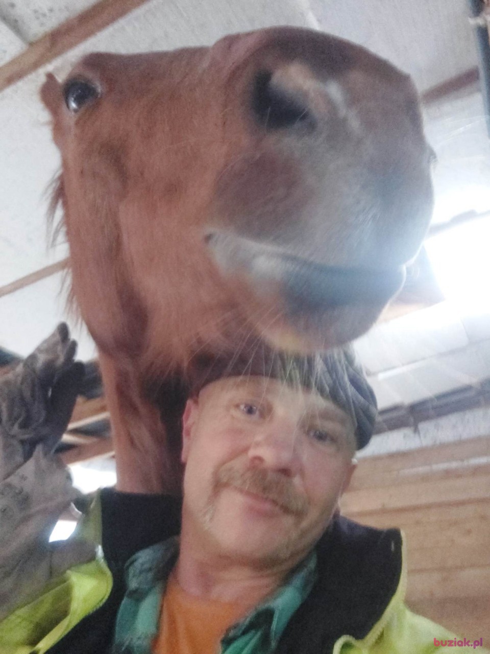 romek, Mężczyzna, 53, Krzeszowice, Polska, Zdjęcie: 4