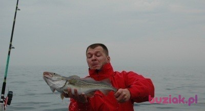 Jasko665, Mężczyzna, 54, Warszawa, Polska, Zdjęcie: 4