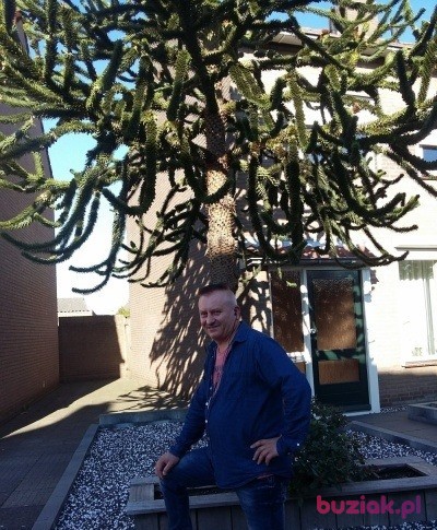 Arek, Male, 55, Nysa, Polska, Photo: 5