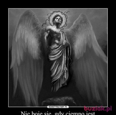 Mirek, Mężczyzna, 62, Włocławek, Polska, Zdjęcie: 2