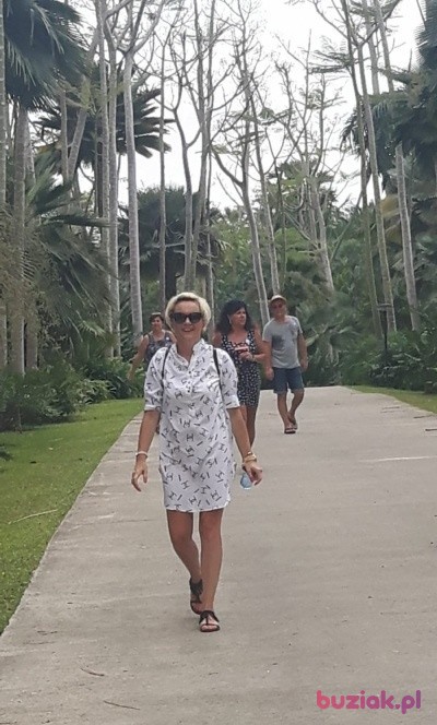 Katarzyna, Kobieta, 53, Berlin, Niemcy: 1