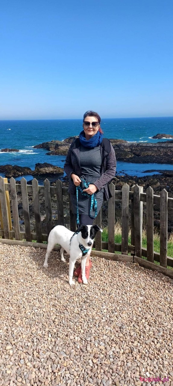 Dorota, Kobieta, 52, Wielka Brytania, Zdjęcie: 3