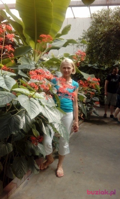 Małgorzata, Kobieta, 62, Poznań, Polska, Zdjęcie: 3