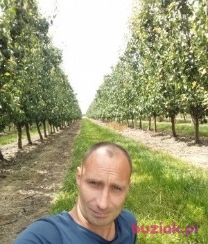 Łukasz, Mężczyzna, 42, 's-Hertogenbosch, Holandia, Zdjęcie: 2