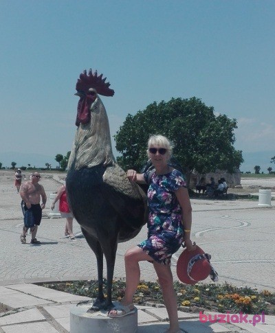 Mariola, Female, 60, Żyrardów, Polska, Photo: 5