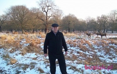 wojtek, Mężczyzna, 67, Wieruszów, Polska: 1