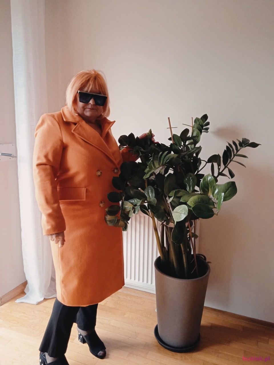 Lusi, Kobieta, 63, Kraków, Polska, Zdjęcie: 2