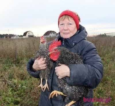 OLGA, Female, 74, Rosja, Photo: 5