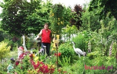 Ryszard, Male, 62, Głubczyce, Polska, Photo: 2