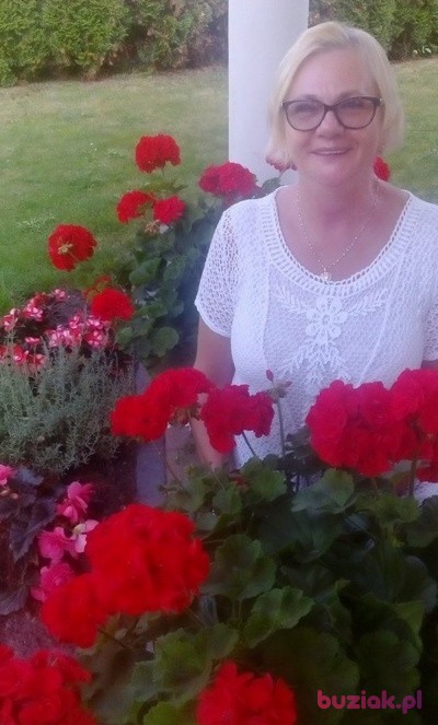 Grażyna, Female, 69, Chojnice, Polska: 1