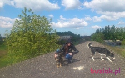 pati, Male, 37, Siemianowice Śląskie, Polska, Photo: 1