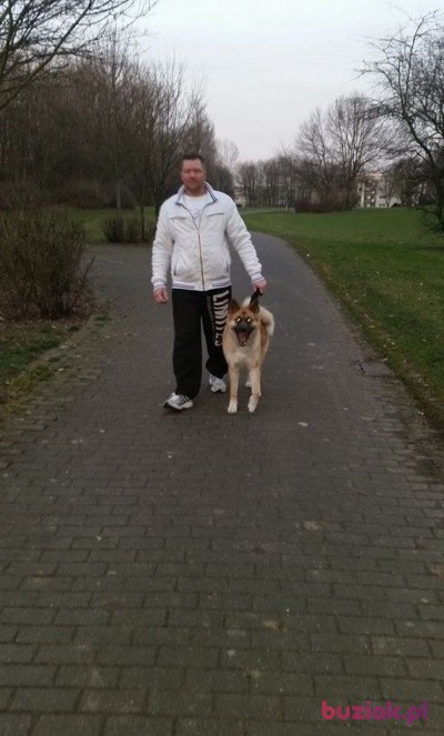 Marcin, Mężczyzna, 43, Toruń, Polska, Zdjęcie: 5