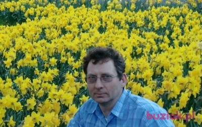 SAM600, Mężczyzna, 64, Wielka Brytania, Zdjęcie: 10