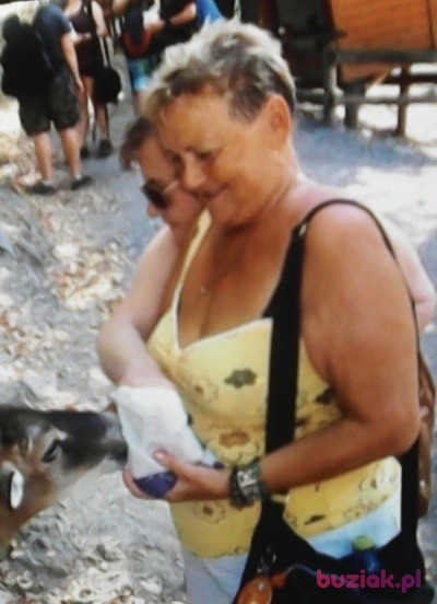 Mirosława, Female, 78, Krapkowice, Polska, Photo: 1