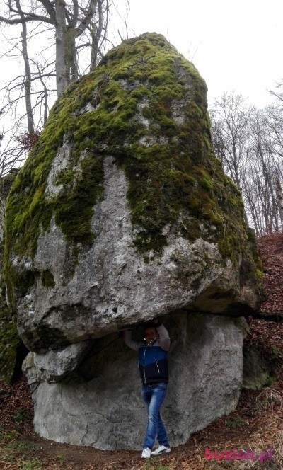 sylwester, Mężczyzna, 36, Radzyń Podlaski, Polska, Zdjęcie: 3