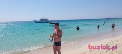 Grzegorz, Mężczyzna, 41, Lublin, Polska, Zdjęcie: 4
