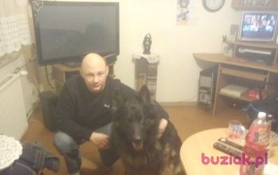 krzysiek, Male, 41, Knurów, Polska: 1