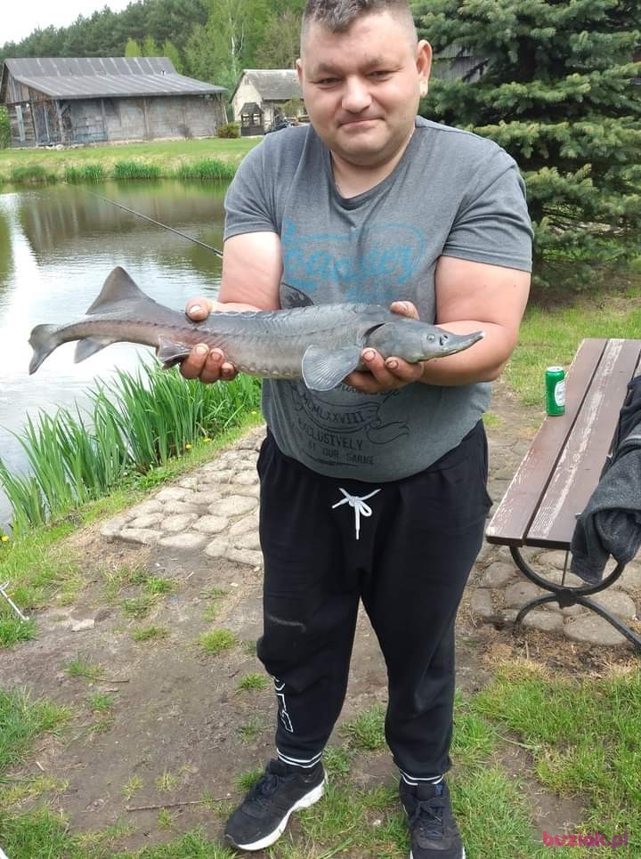 Arek, Mężczyzna, 43, Iłża, Polska, Zdjęcie: 1