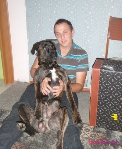 Daniel, Mężczyzna, 37, Toruń, Polska, Zdjęcie: 3