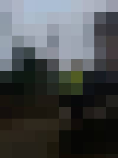 Katti81, Kobieta, 43, Rotterdam South Holland Province, Holandia, Zdjęcie: 3