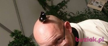 Karol, Male, 44, Warszawa, Polska, Photo: 2