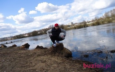 michał, Mężczyzna, 38, Niemcy, Zdjęcie: 2