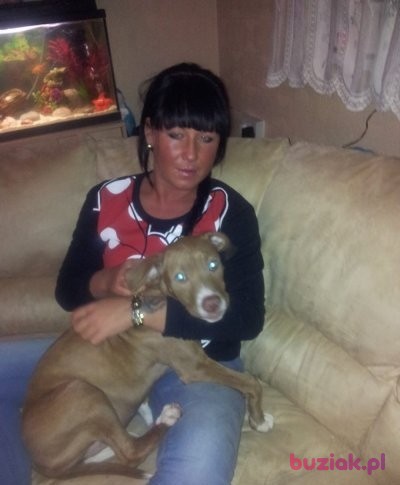 jtrojan, Kobieta, 40, Wielka Brytania, Zdjęcie: 2